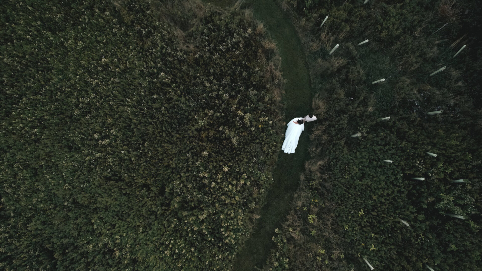 Drone exterior shot of couple walking on a beautiful grass pathway