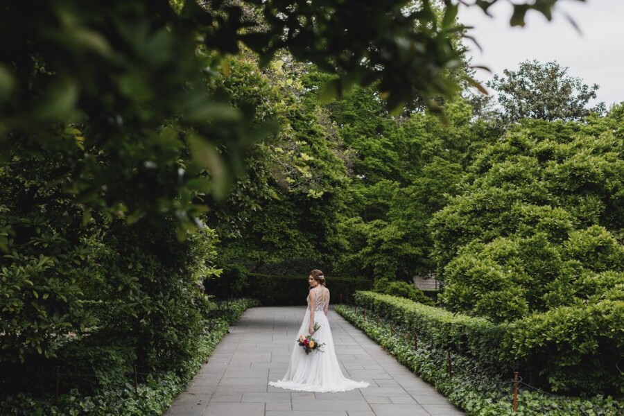 Bride posing among trees and bushes